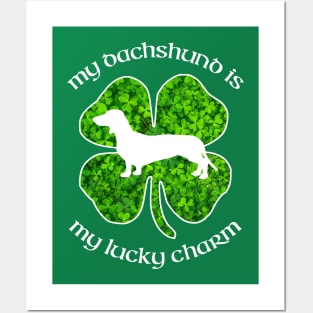 St Patrick's Day Dachshund Shirt "My Dachshund is my Lucky Charm" Posters and Art